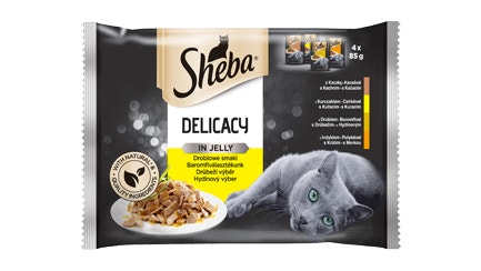 Lahodné Kousky v Želé